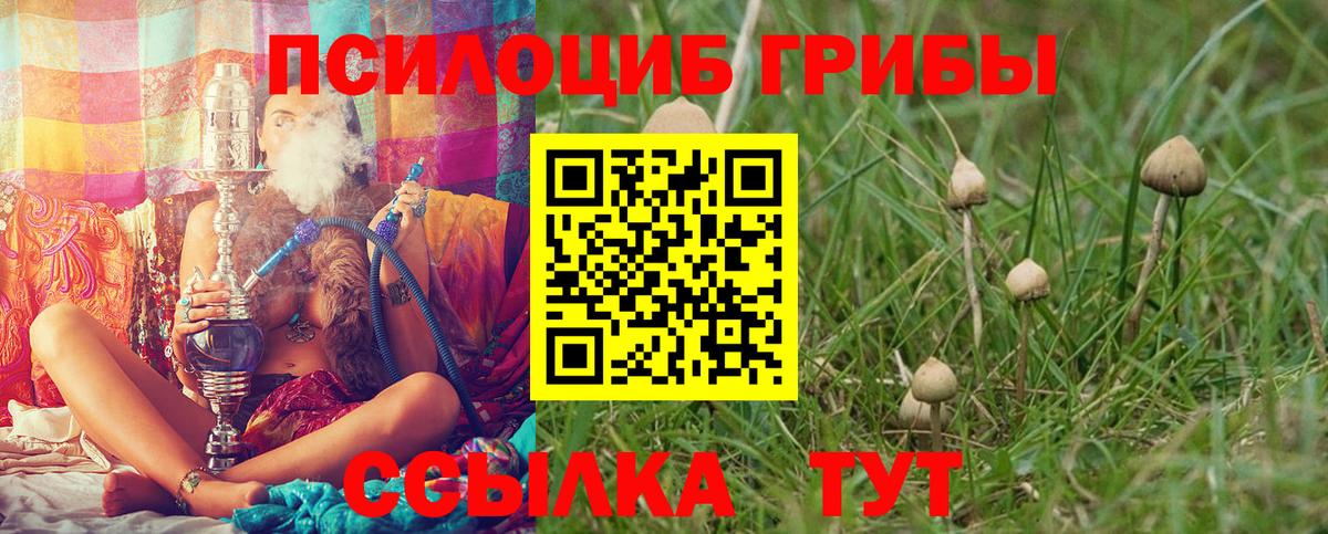 Галлюциногенные грибы мухоморы Луховицы