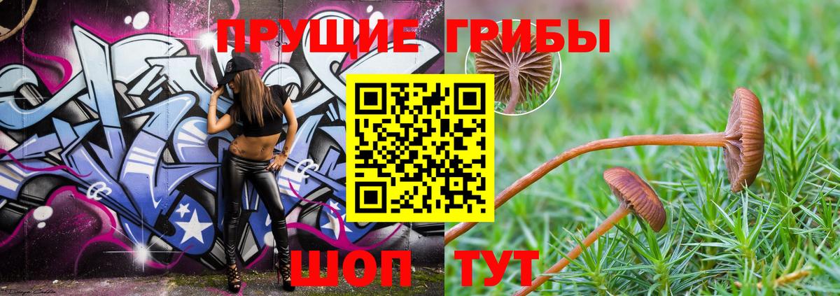 Псилоцибиновые грибы мухоморы  Вход с VPN  Псилоцибиновые грибы Psilocybe  Луховицы 